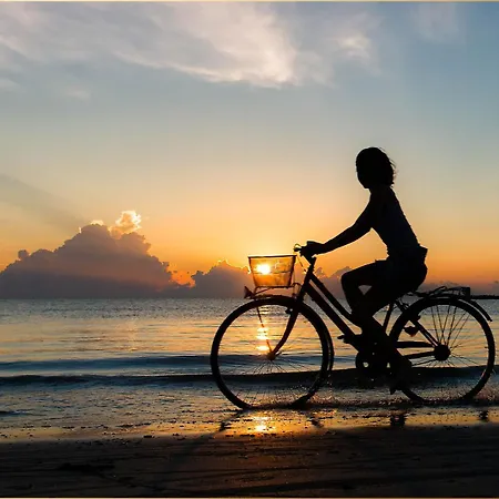 Seeblick Kunstquartier Apartament *